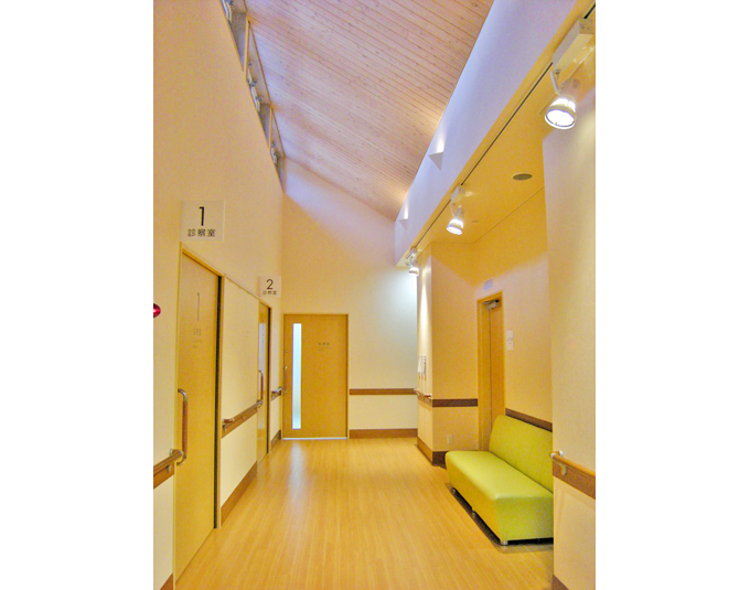 唐松の天井にやわらかくそそぐ日差し