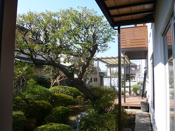 和風庭園風の庭