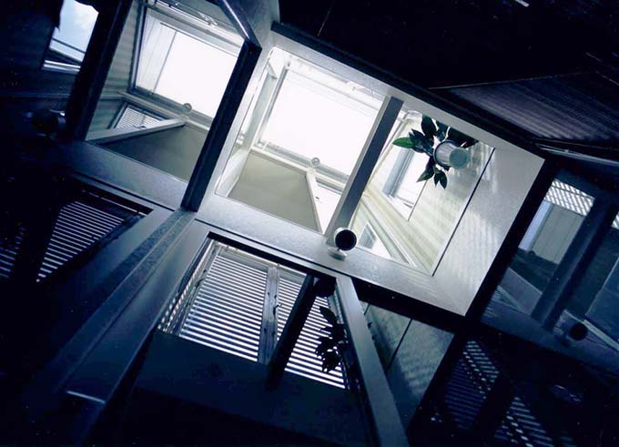 観葉植物の「光の庭」を見上げる