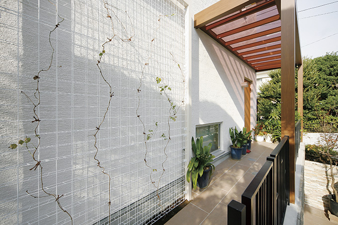 緑のカーテン用フェンス