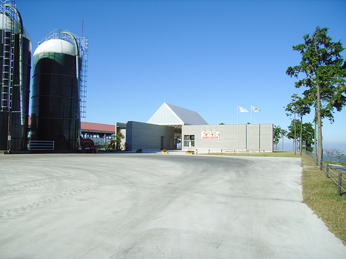 見る方向を変えると無機的なイメージももつ