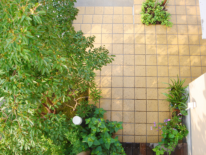 小さいながらも緑がいっぱいの玄関アプローチ