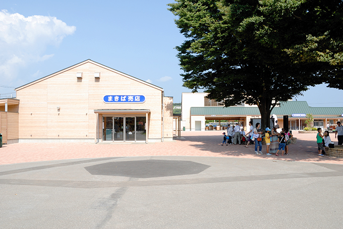 大きい木の下で休める広々とした中庭