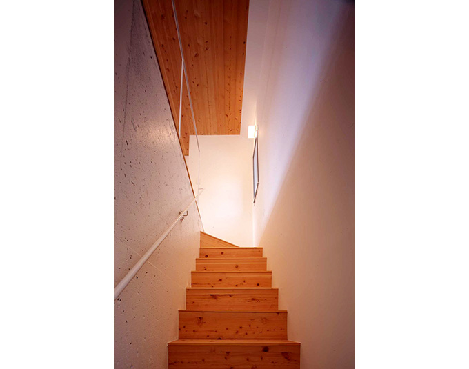 階段と天井材にムク材を配したリノベーション