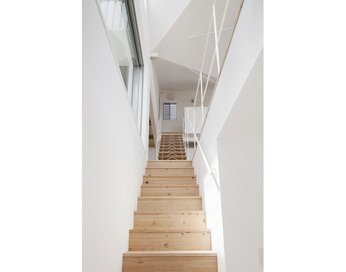 すり鉢状の天井がリズム感を生むエントランスからの階段