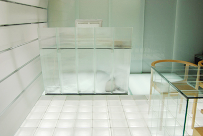 ガラスの質感を楽しむ室内